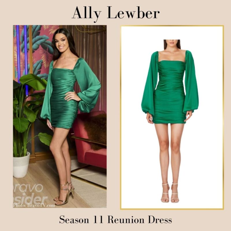 Ally Lewber's Reunion 11 Dress